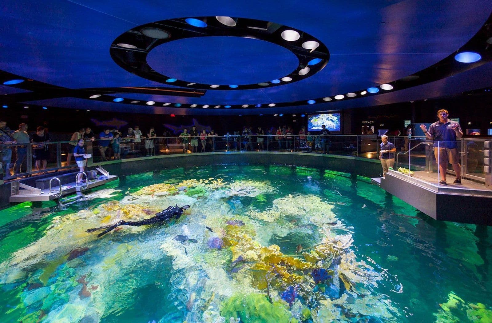New England Aquarium